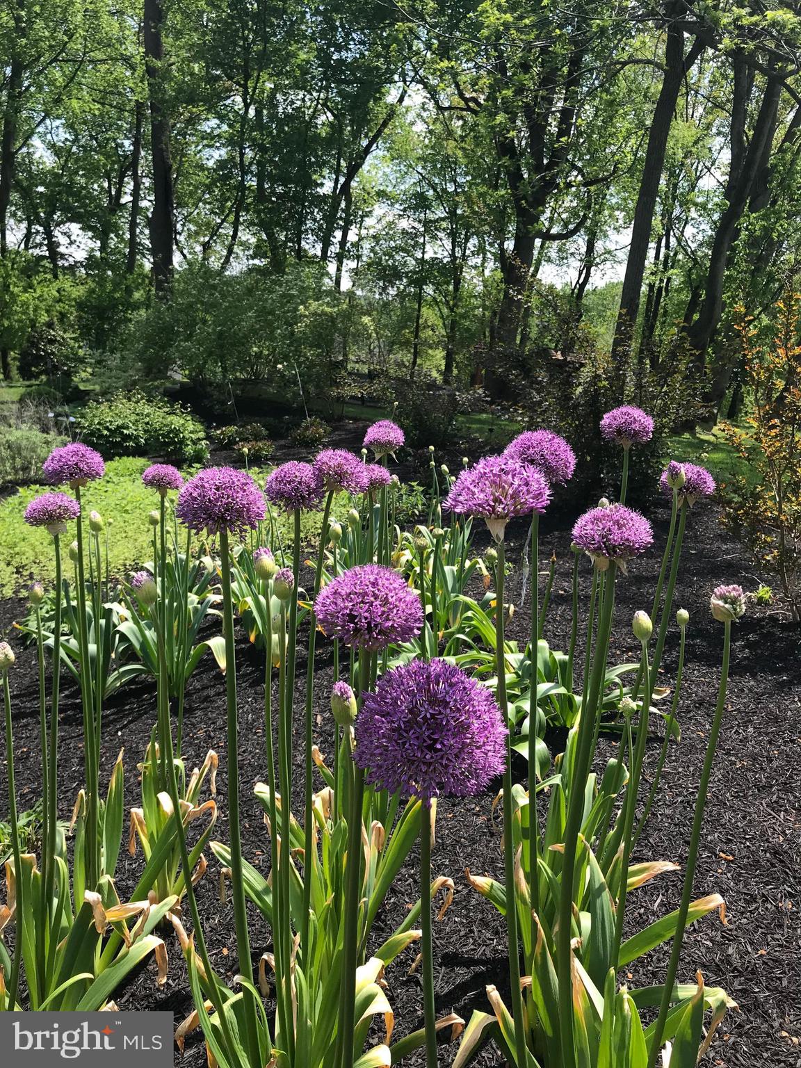 MURPHYS RUN - Residential