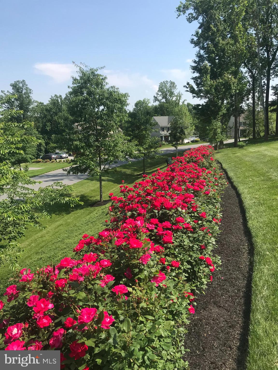 MURPHYS RUN - Residential