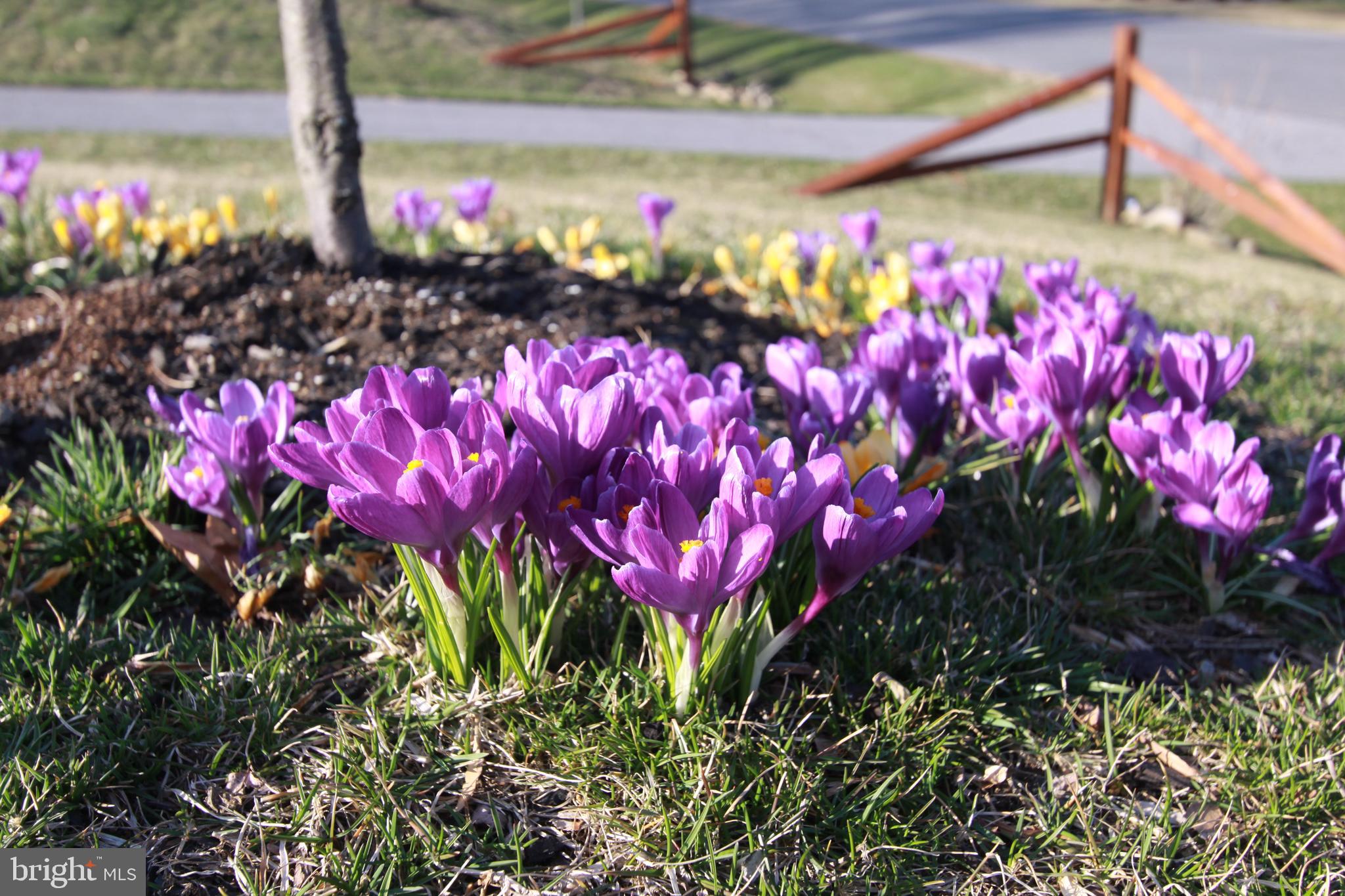 MURPHYS RUN - Residential