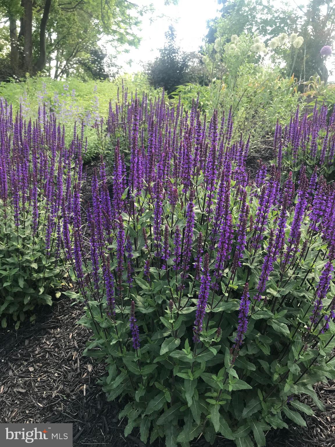 MURPHYS RUN - Residential