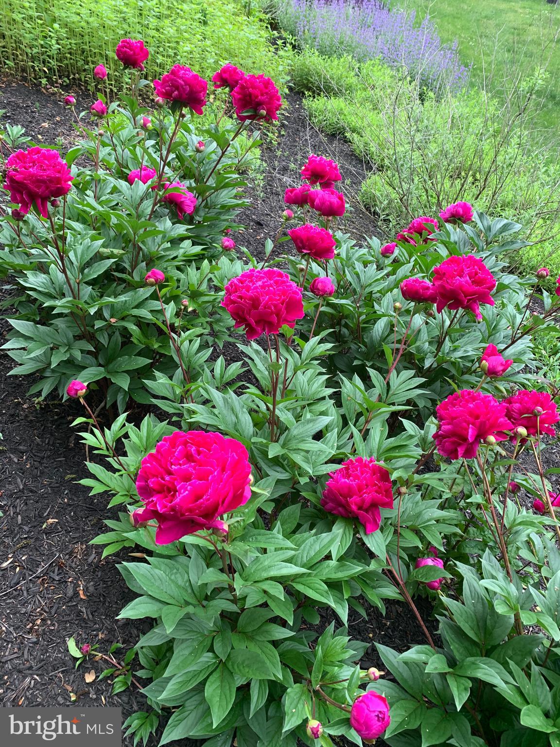 MURPHYS RUN - Residential