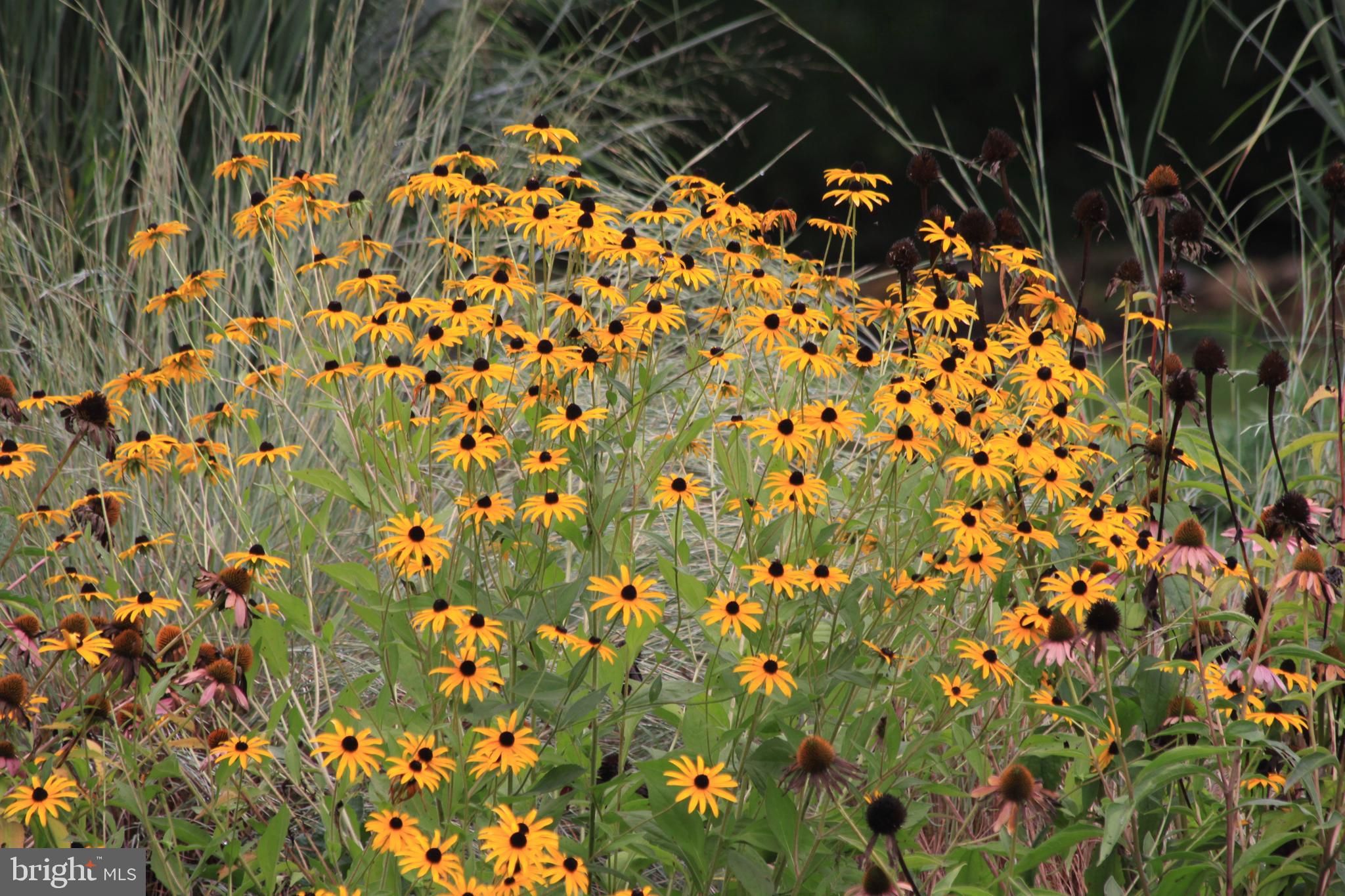 MURPHYS RUN - Residential