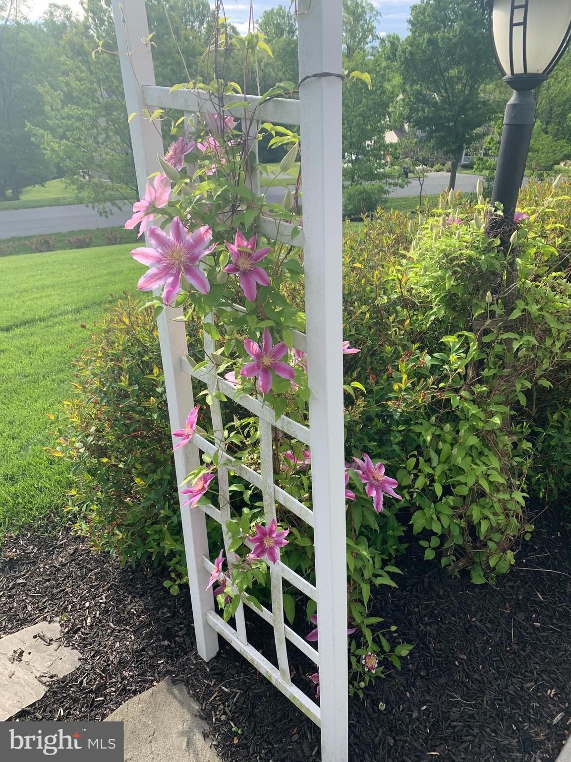 MURPHYS RUN - Residential