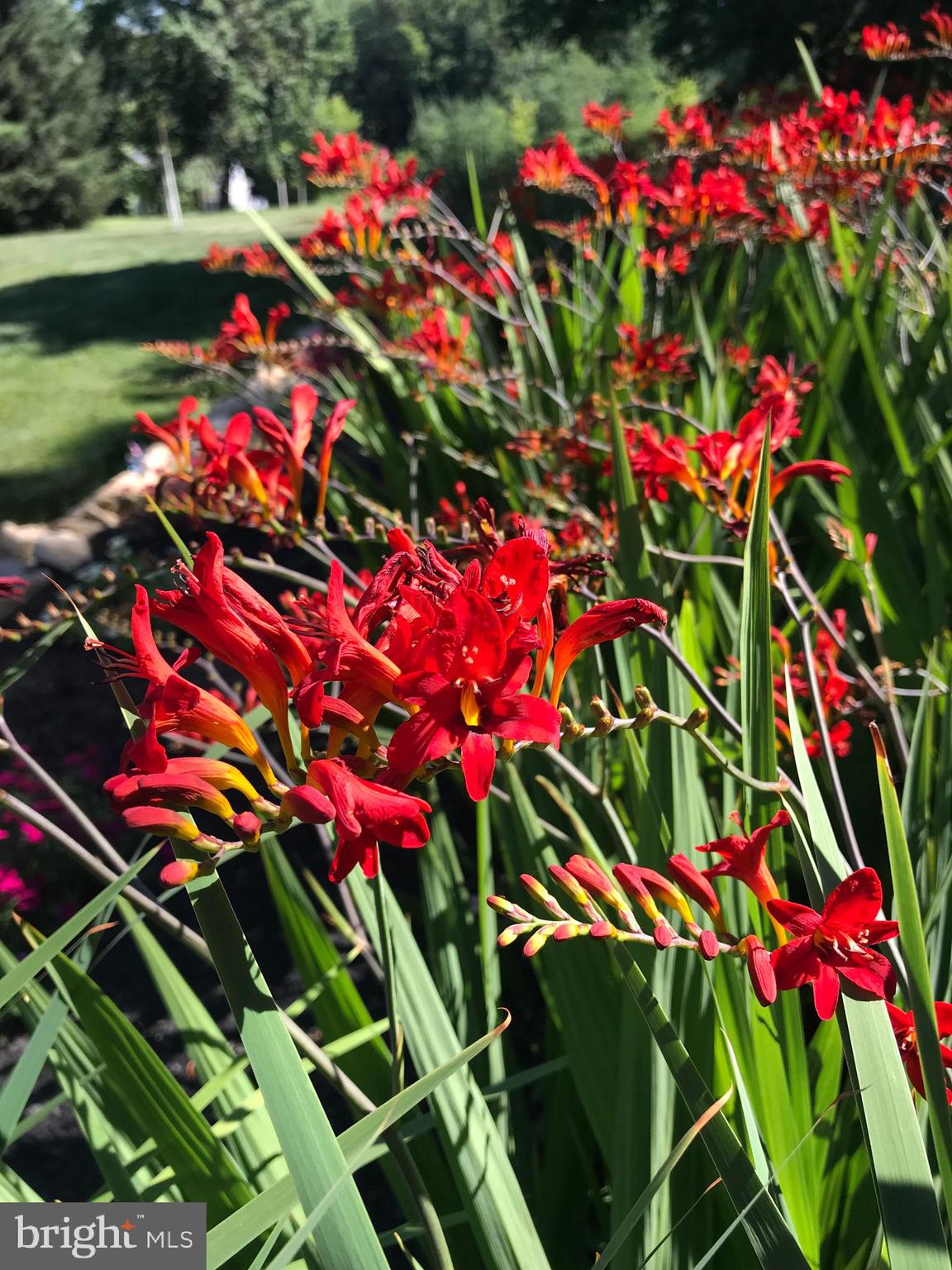 MURPHYS RUN - Residential