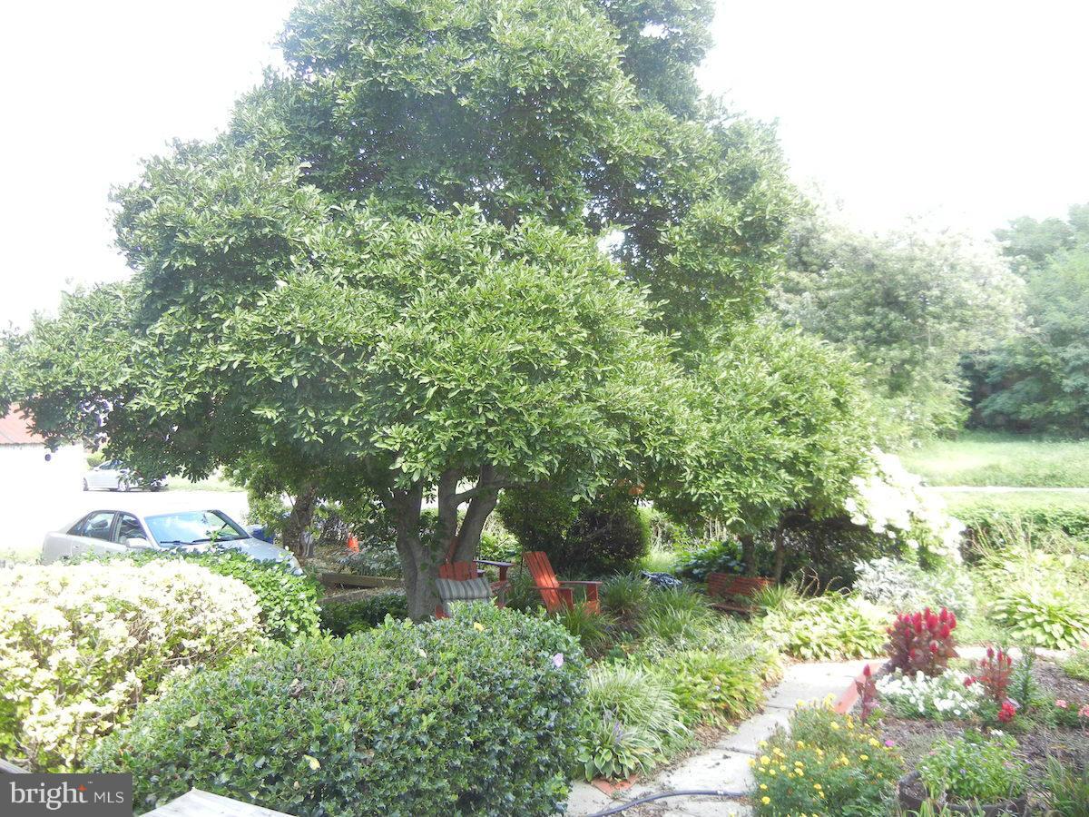 WALBROOK - Residential