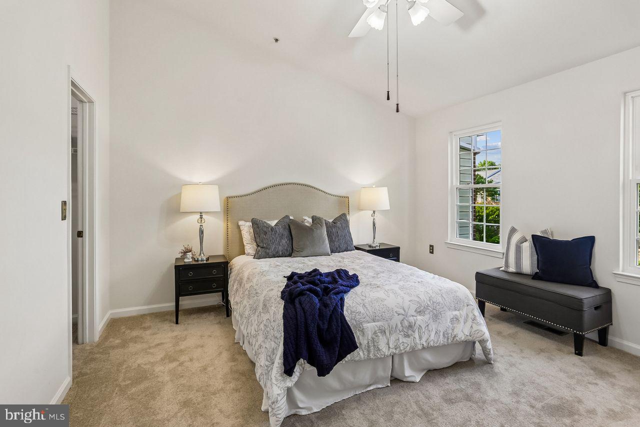 SYCAMORE MEWS - Residential