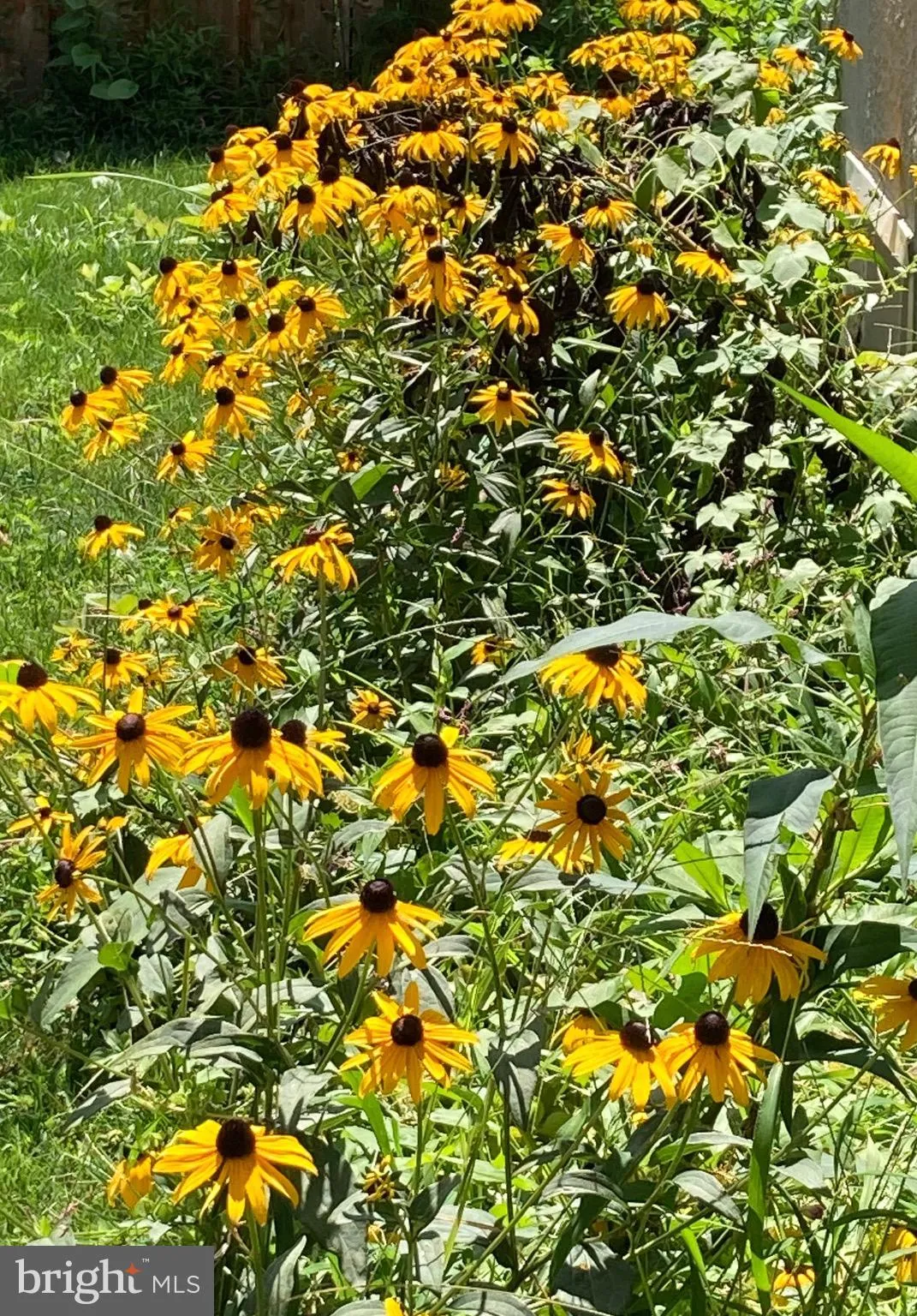 Ewing, New Jersey 08618, United States, 3 Bedrooms Bedrooms, ,1 BathroomBathrooms,Residential,Active,163272