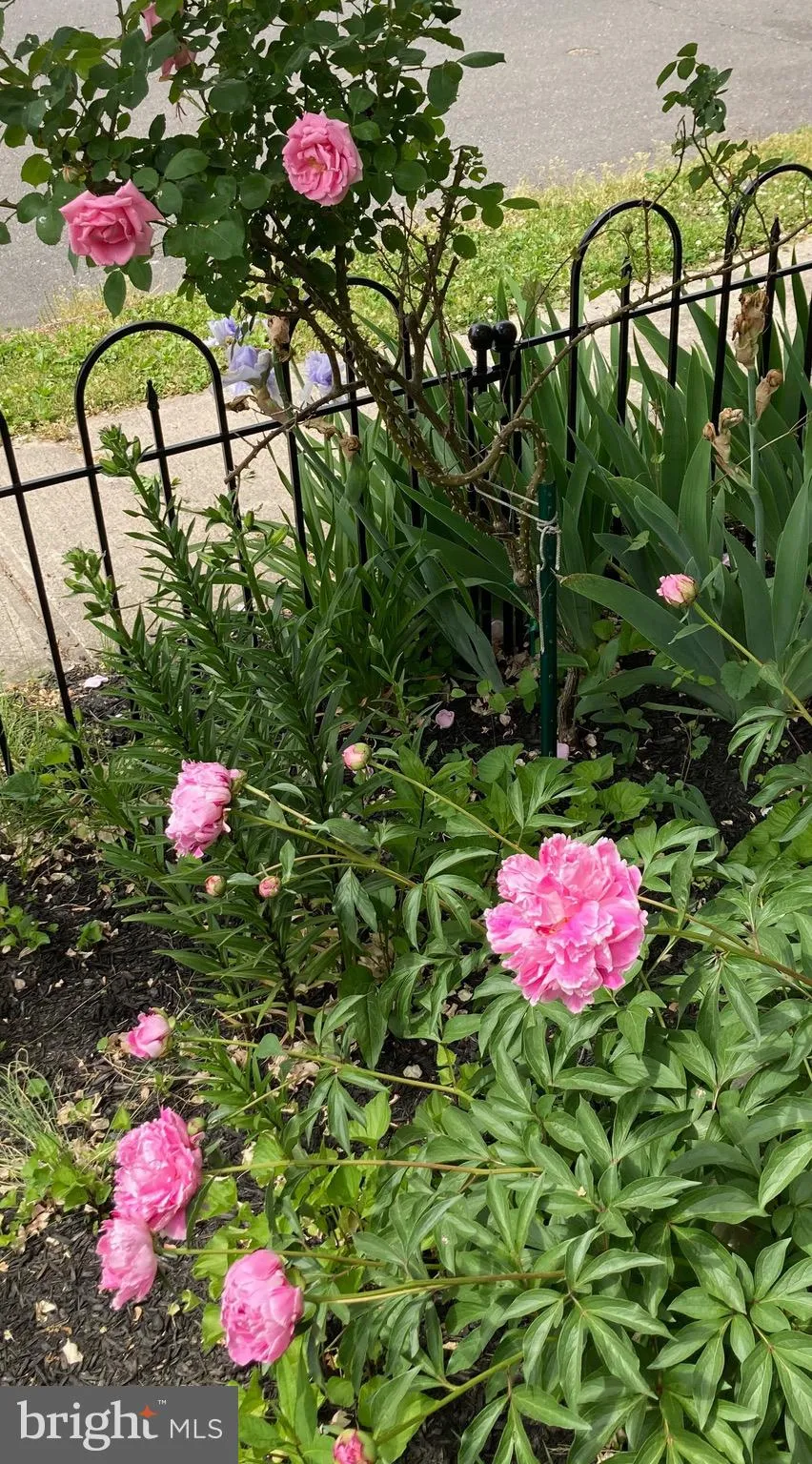 Ewing, New Jersey 08618, United States, 3 Bedrooms Bedrooms, ,1 BathroomBathrooms,Residential,Active,163272