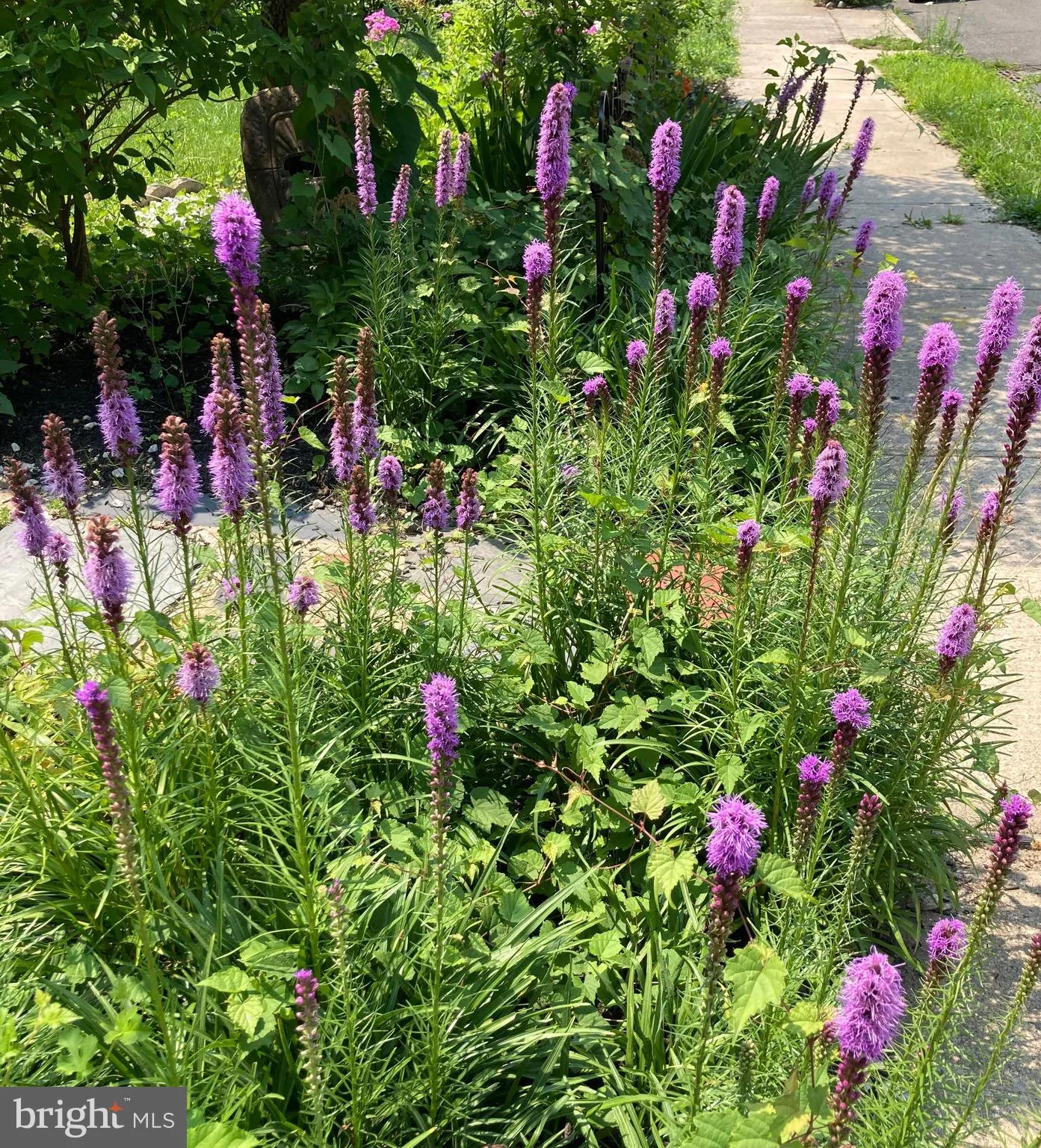 Ewing, New Jersey 08618, United States, 3 Bedrooms Bedrooms, ,1 BathroomBathrooms,Residential,Active,163272