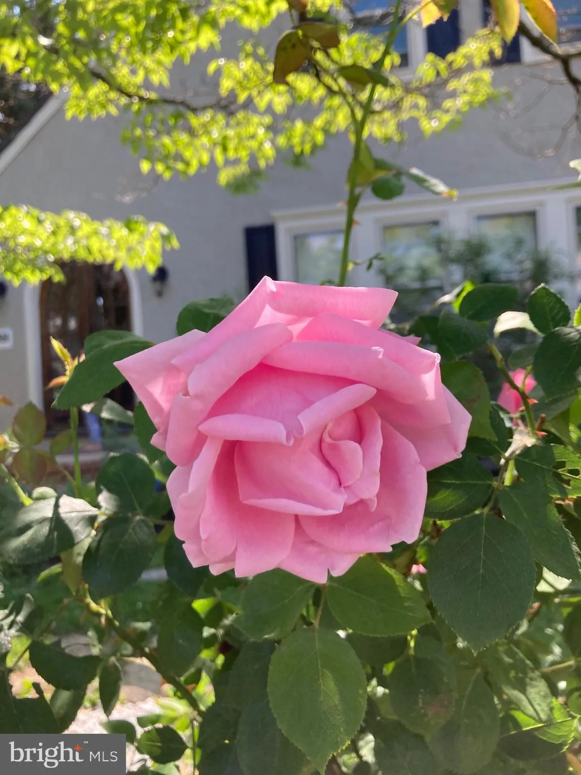 Ewing, New Jersey 08618, United States, 3 Bedrooms Bedrooms, ,1 BathroomBathrooms,Residential,Active,163272