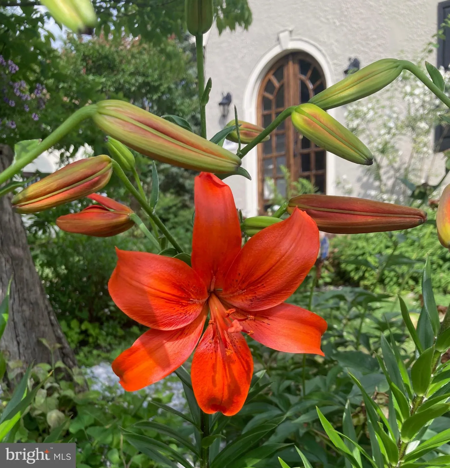 Ewing, New Jersey 08618, United States, 3 Bedrooms Bedrooms, ,1 BathroomBathrooms,Residential,Active,163272