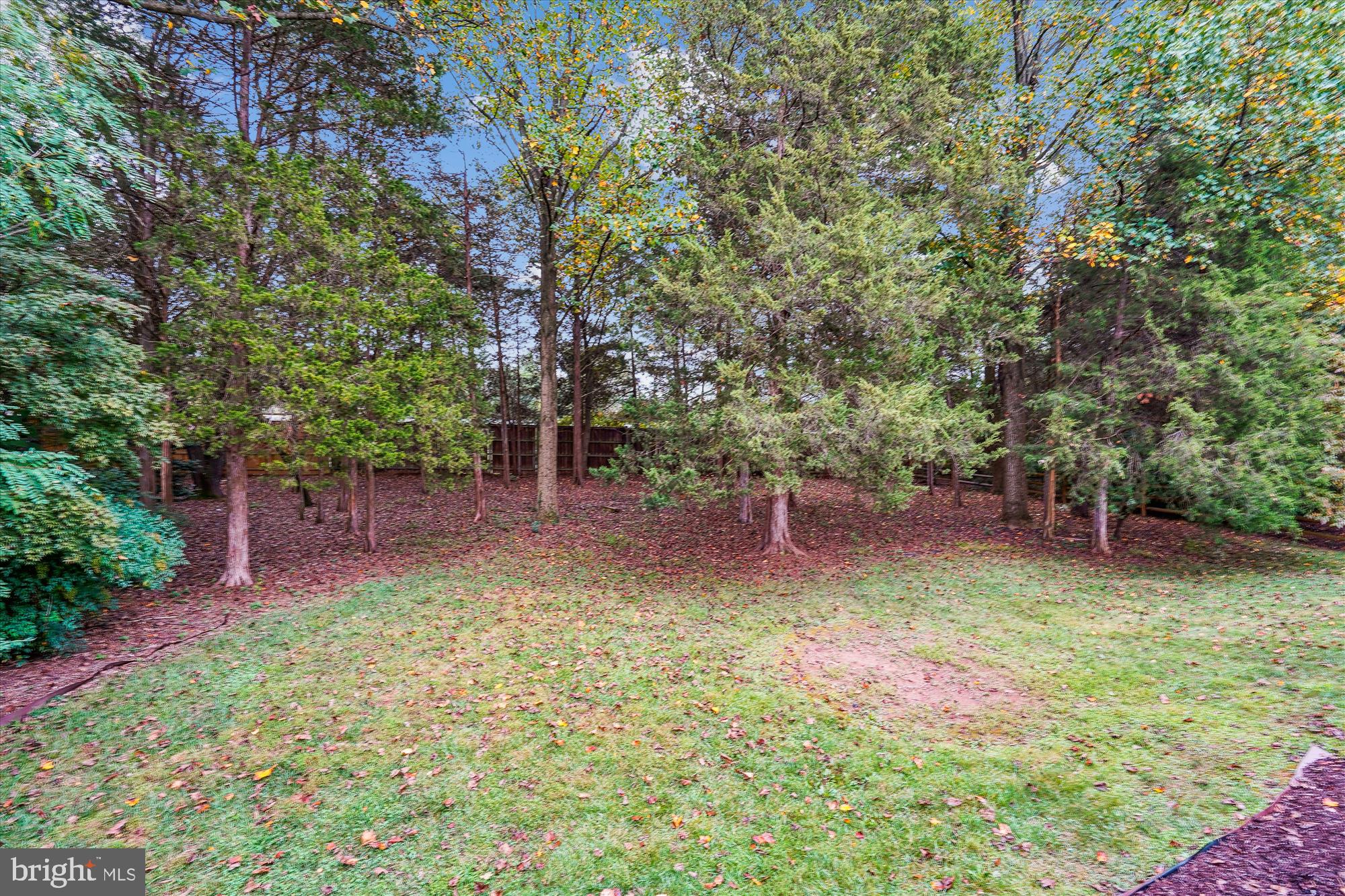 1233 ROWLAND DRIVE