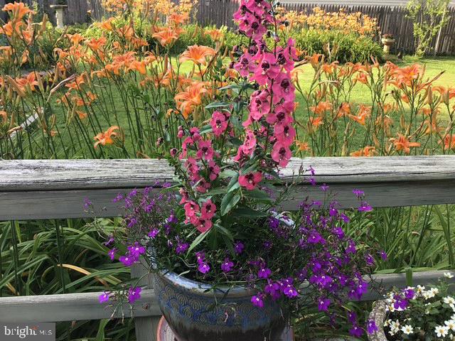 GLENSIDE - Residential