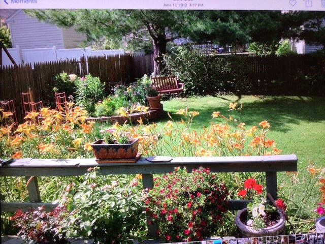 GLENSIDE - Residential