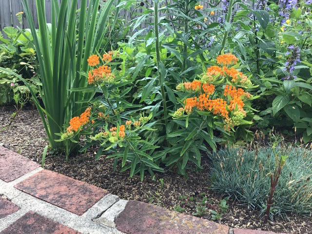 GLENSIDE - Residential