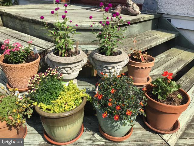 GLENSIDE - Residential