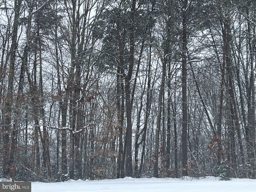 This property has never been perked. Great location, easy access.  Part of an estate. This property is being sold under VAWR2009154  Tax ID 23A-319-19-20-21-23