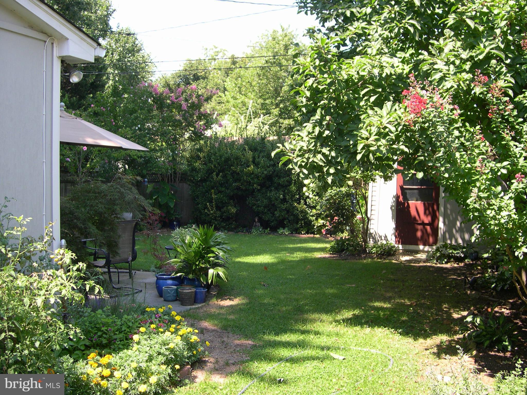 ROSEMONT - Residential Lease