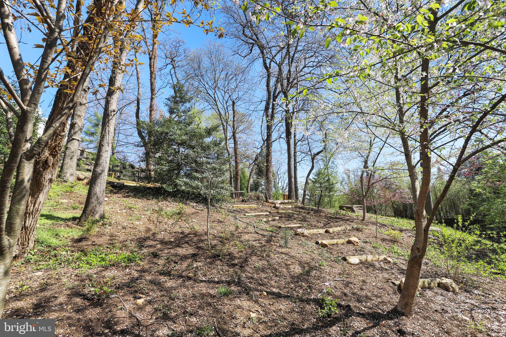 BRADDOCK HEIGHTS - Residential