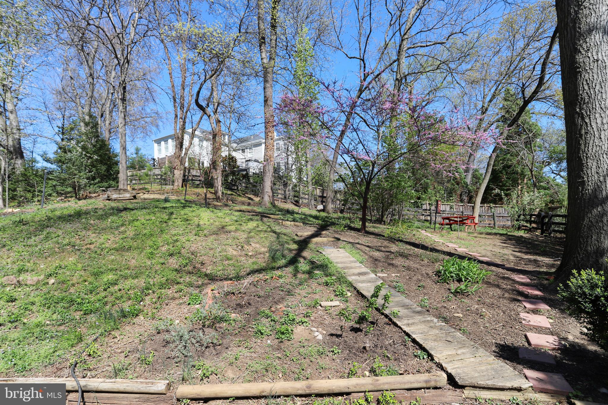 BRADDOCK HEIGHTS - Residential