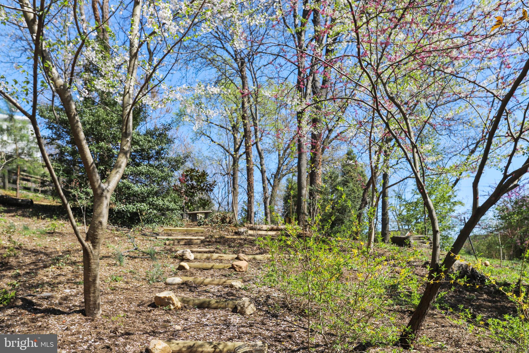 BRADDOCK HEIGHTS - Residential