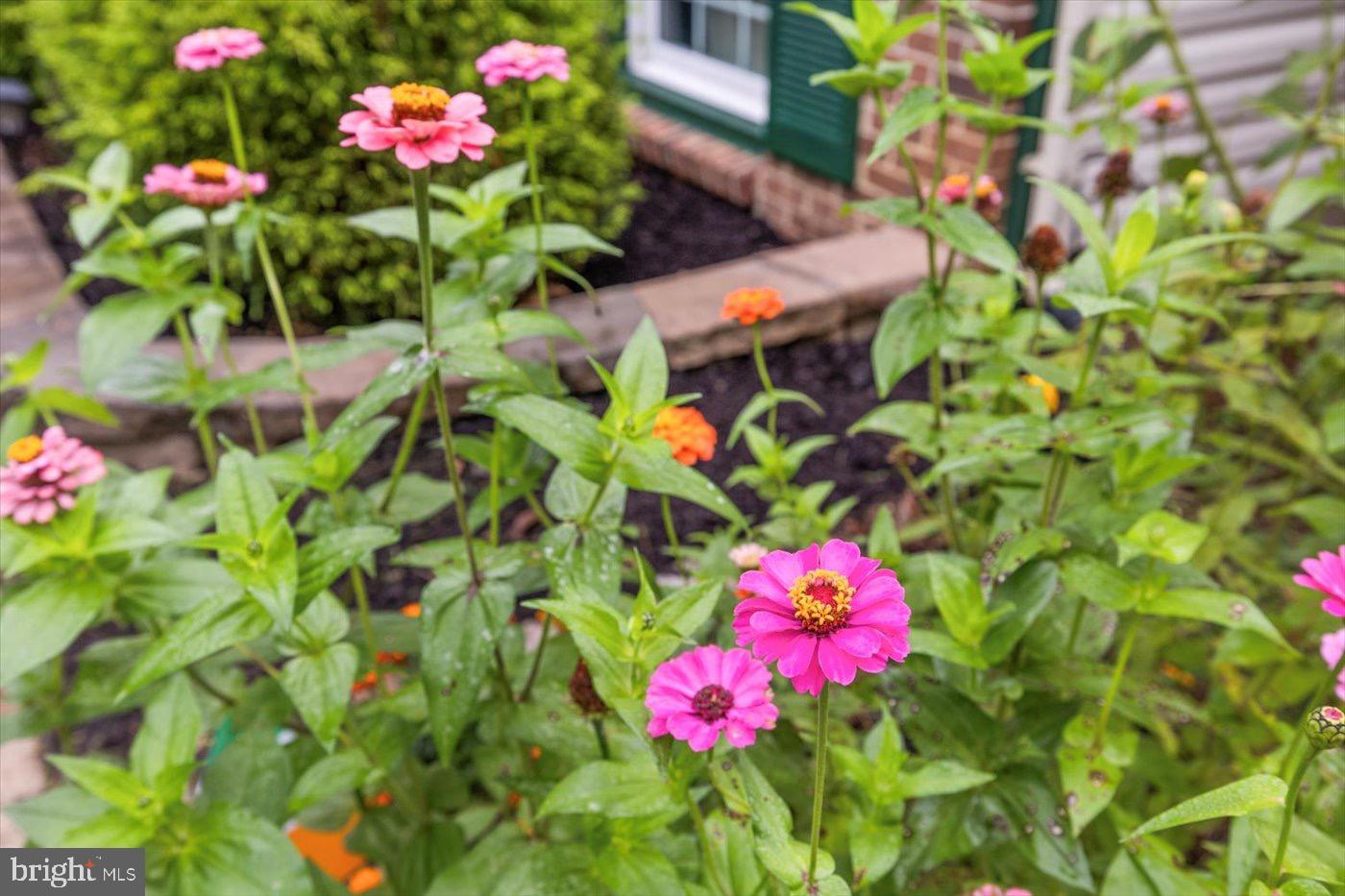 SOUTH STAFFORD - Residential