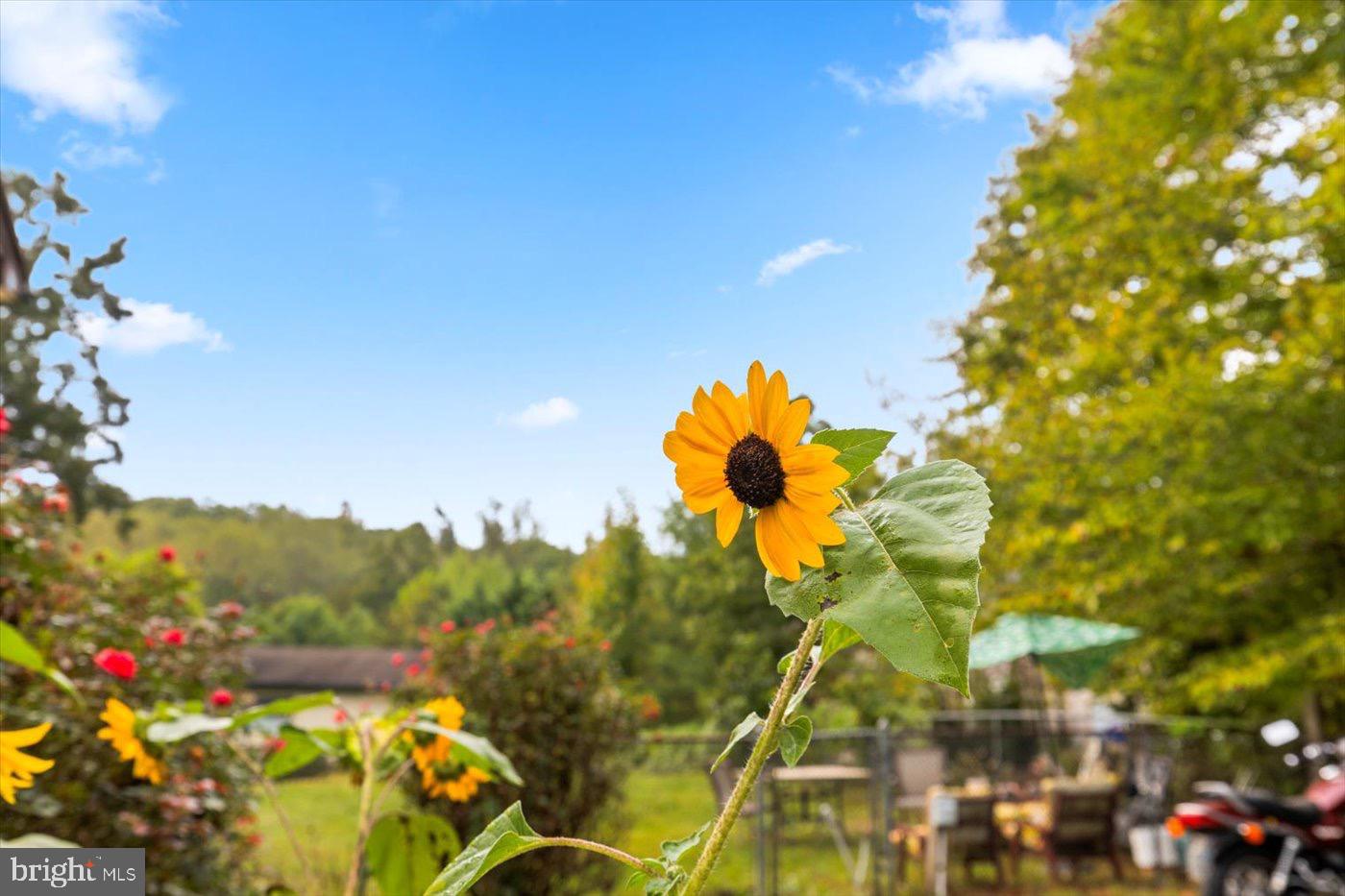 SOUTH STAFFORD - Residential