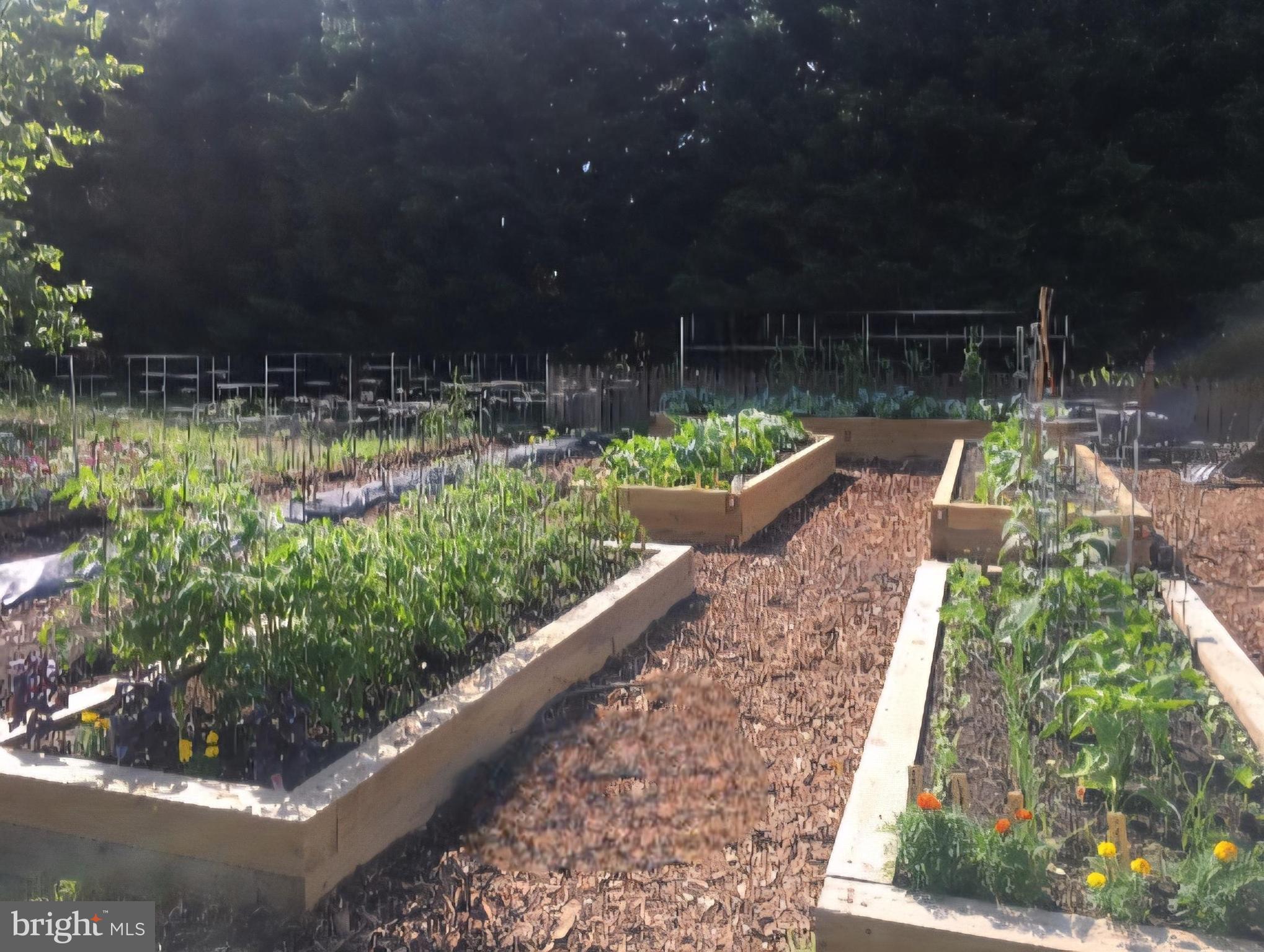 EDGE COVE - Residential