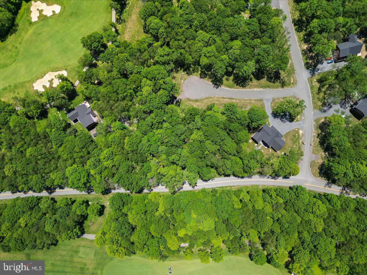 Lot 20 GREEN JACKET CT