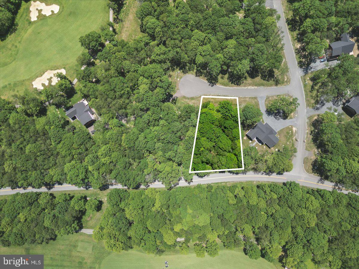 Lot 20 GREEN JACKET CT