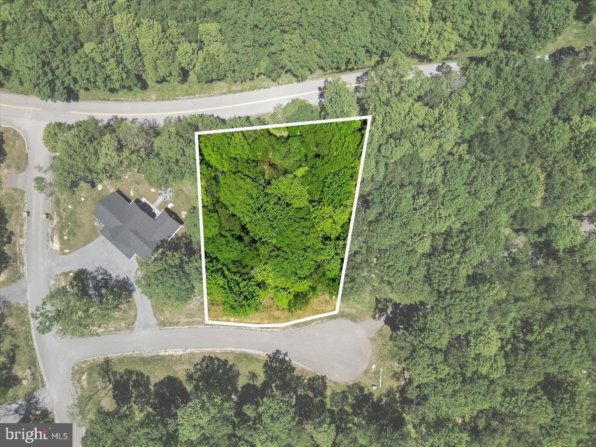 Lot 20 GREEN JACKET CT
