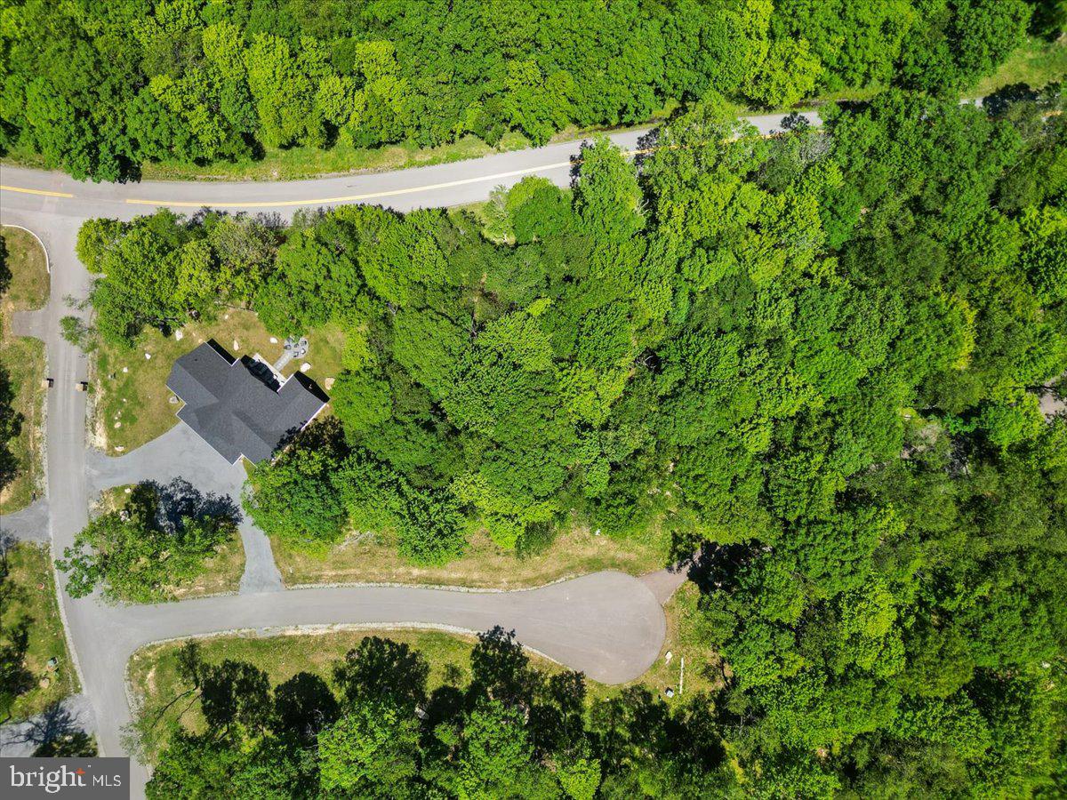 Lot 20 GREEN JACKET CT