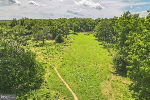 Vacant Land For Sale - 1683 Withers Larue Road<br/> Clarke County, BERRYVILLE, VA 22611