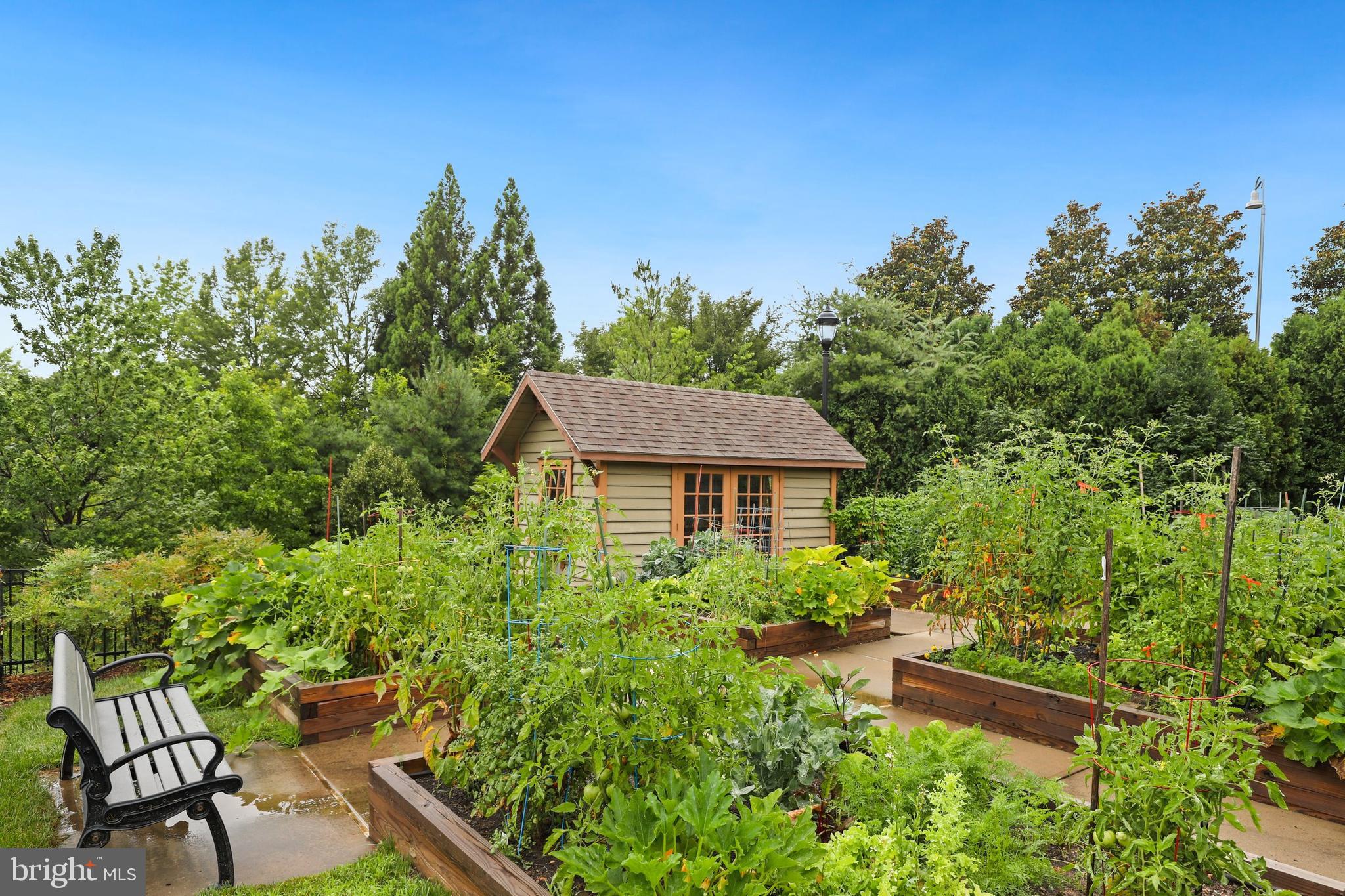 CELEBRATE VIRGINIA NORTH - Residential