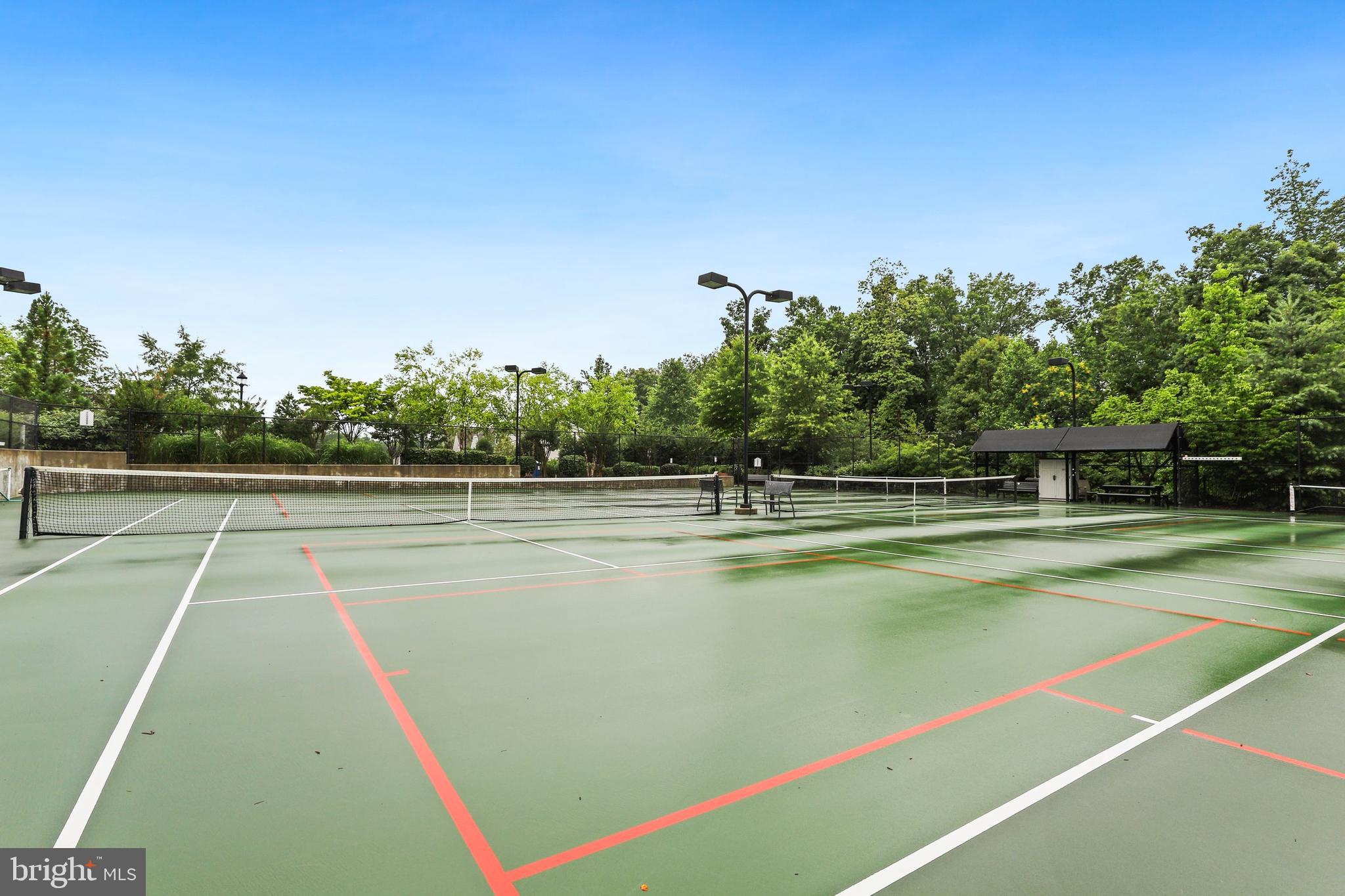 CELEBRATE VIRGINIA NORTH - Residential