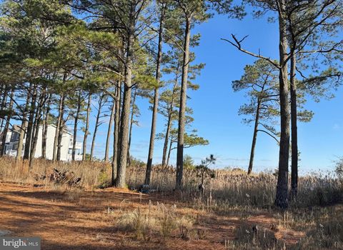 Vacant Land For Sale - LOT 720 Castaway Drive<br/> Accomack County, GREENBACKVILLE, VA 23356