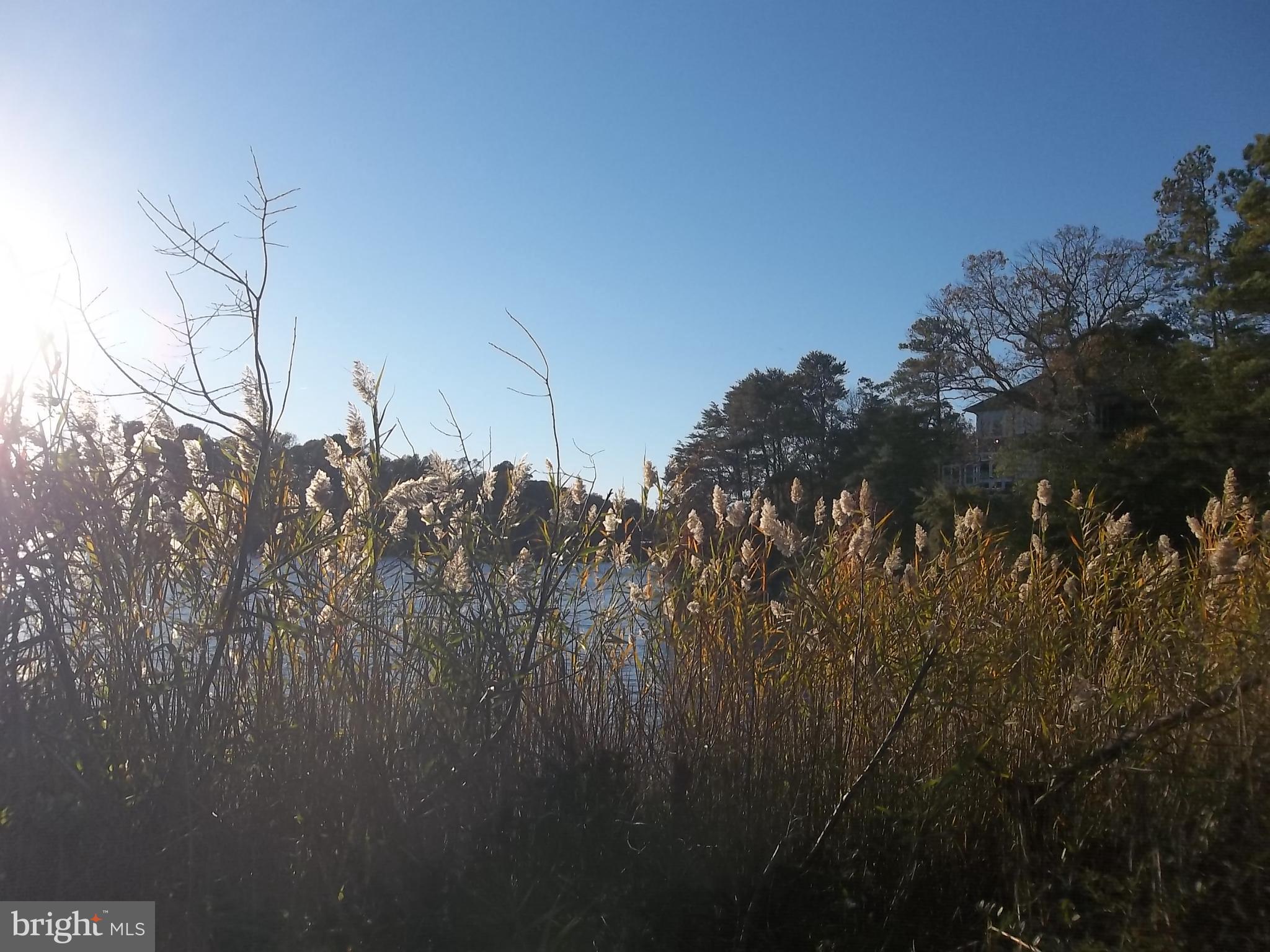 DRUM POINT - Residential