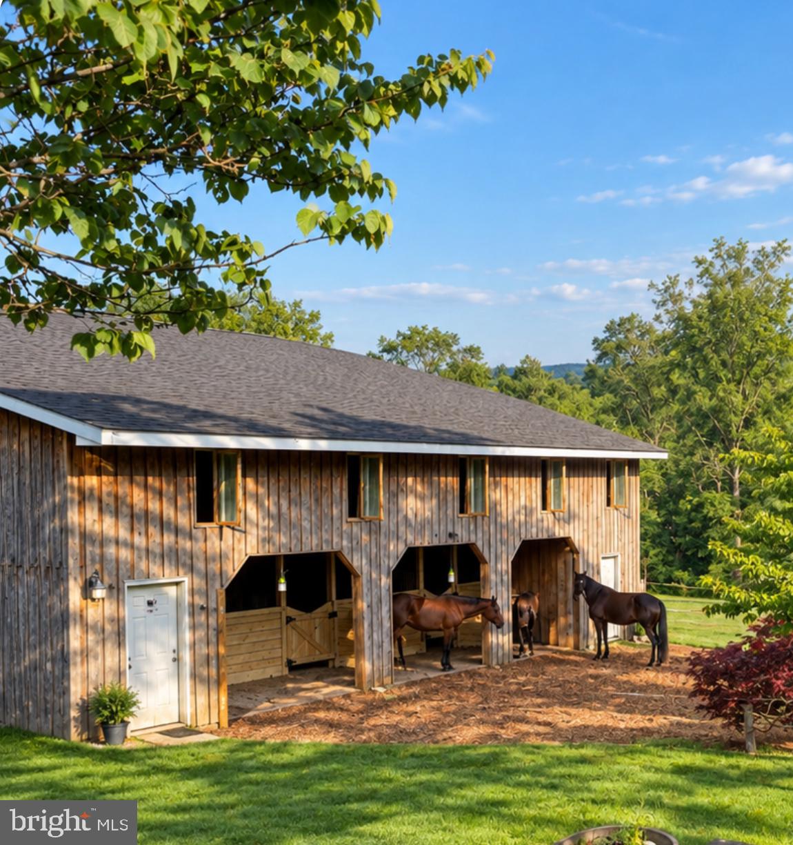 2313 BIDLE ROAD
