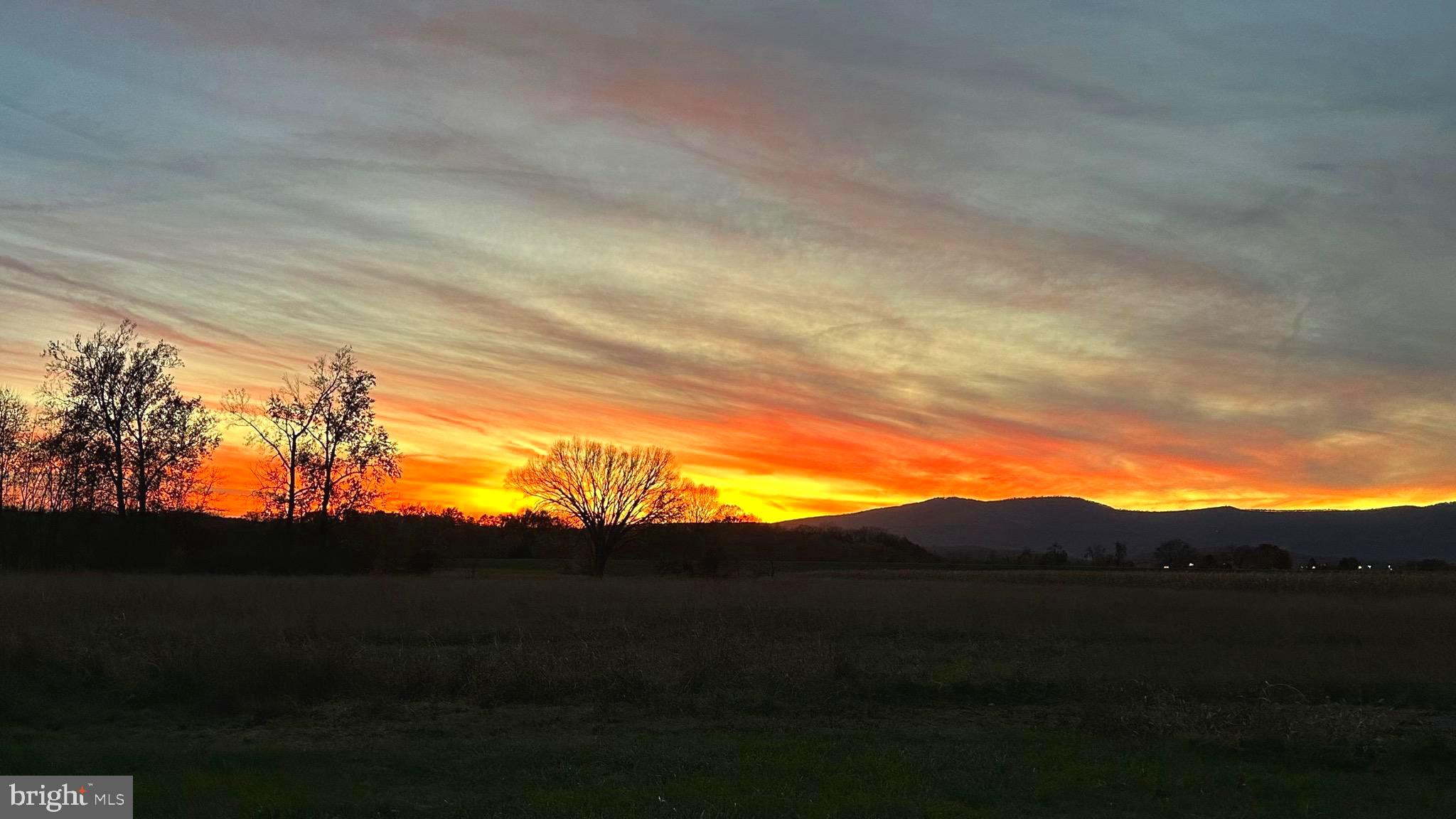 NONE UNRESTRICTED - Residential