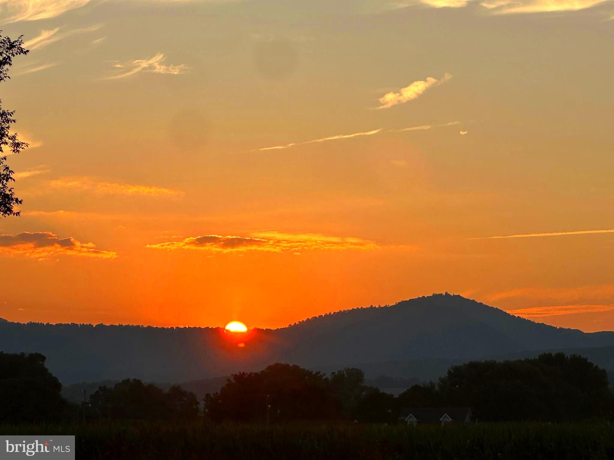 NONE UNRESTRICTED - Residential