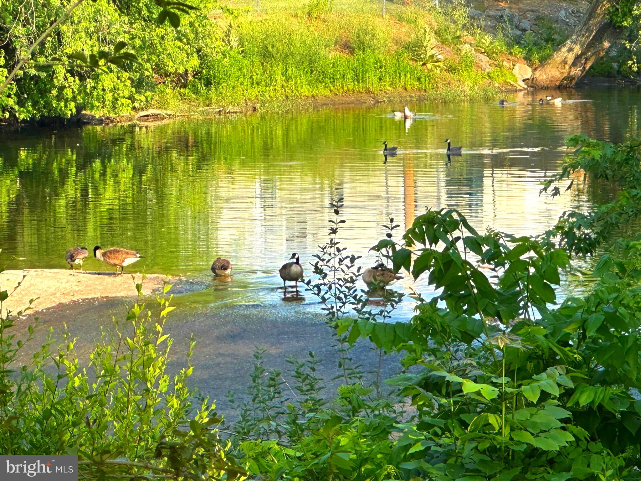 NONE UNRESTRICTED - Residential