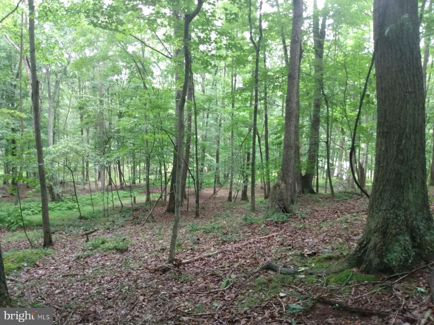 Located on Pleasant Dale Lane in Largent WV. Here's a nice 3.88 Wooded Acres with Cacapon River Access.  An excellent price so come out for a look, additional 2.33 adjoining lot is also avalible.