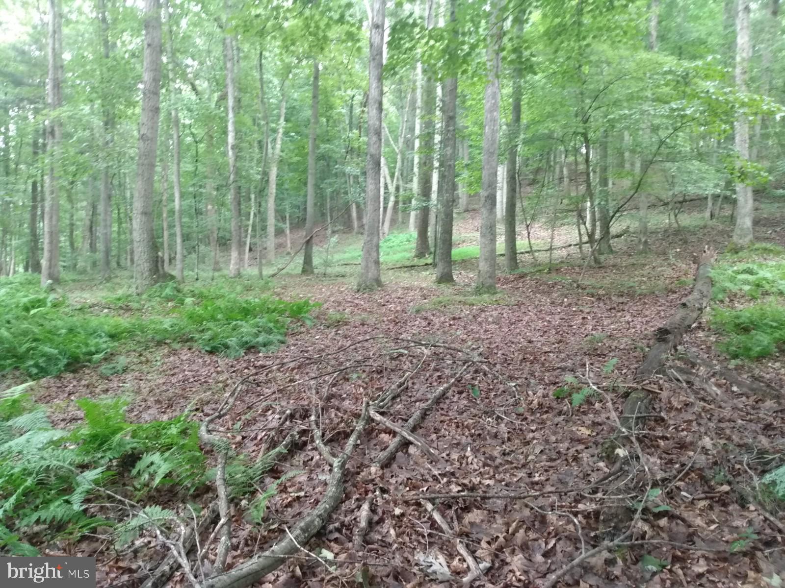 NONE AVAILABLE - Land