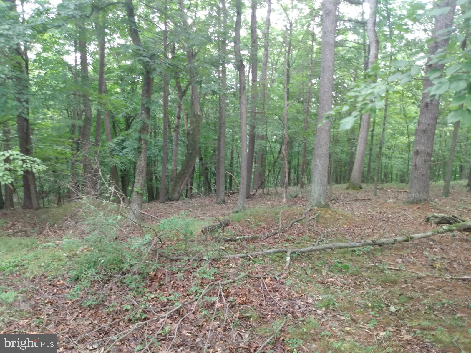 NONE AVAILABLE - Land