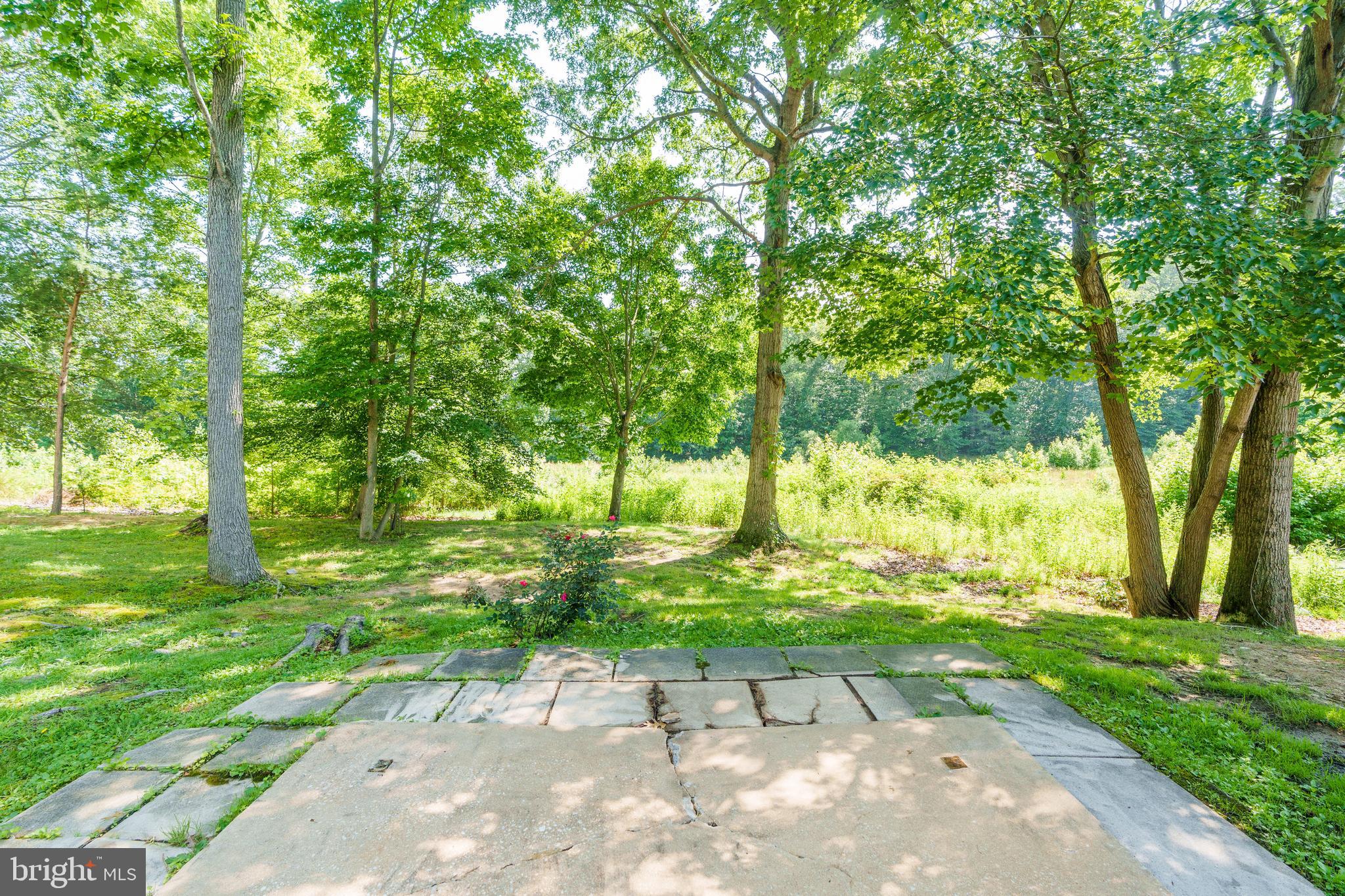 121 RIDGE RUN ROAD