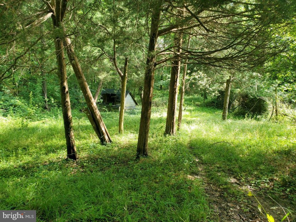 PERRY HALL - Residential