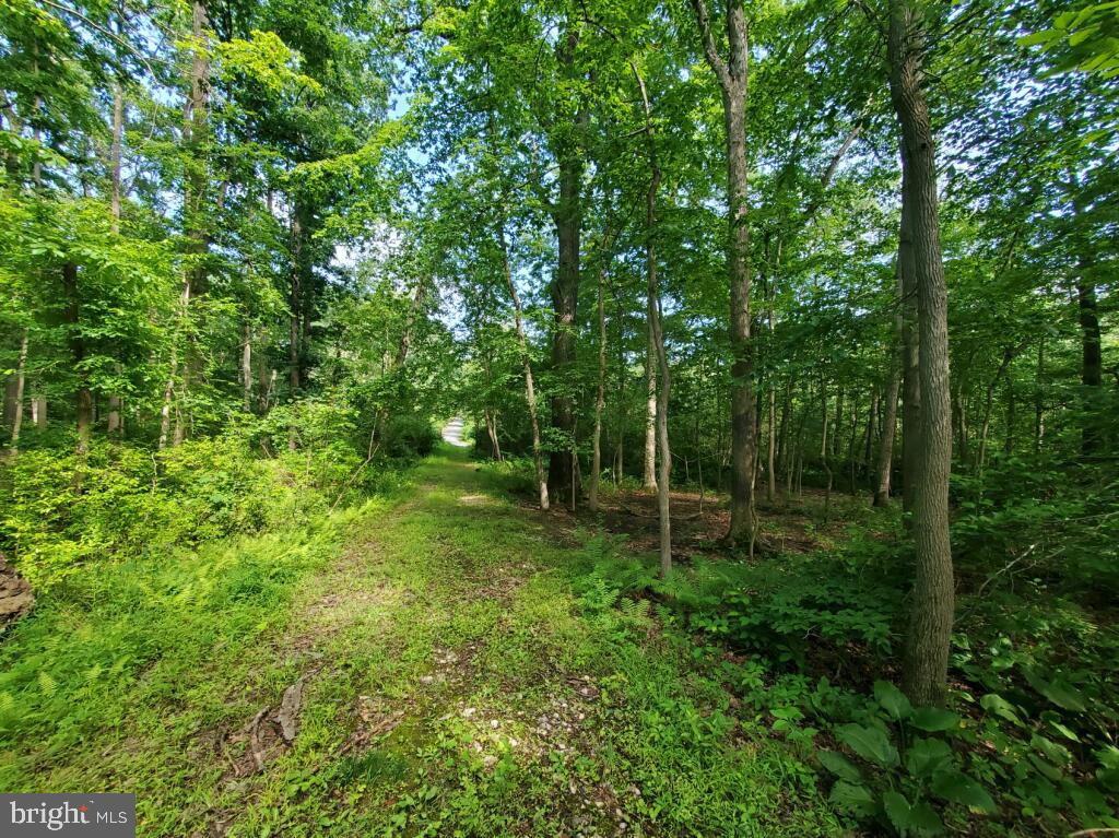 PERRY HALL - Residential