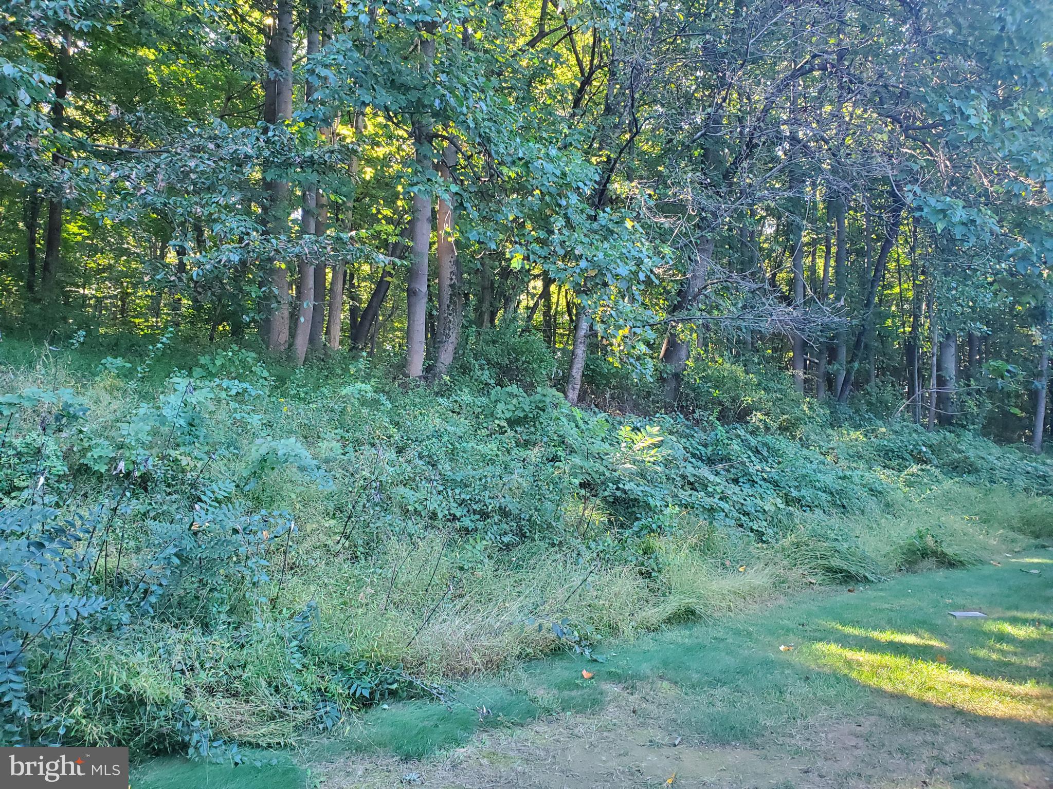 ORCHARD VALLEY - Residential