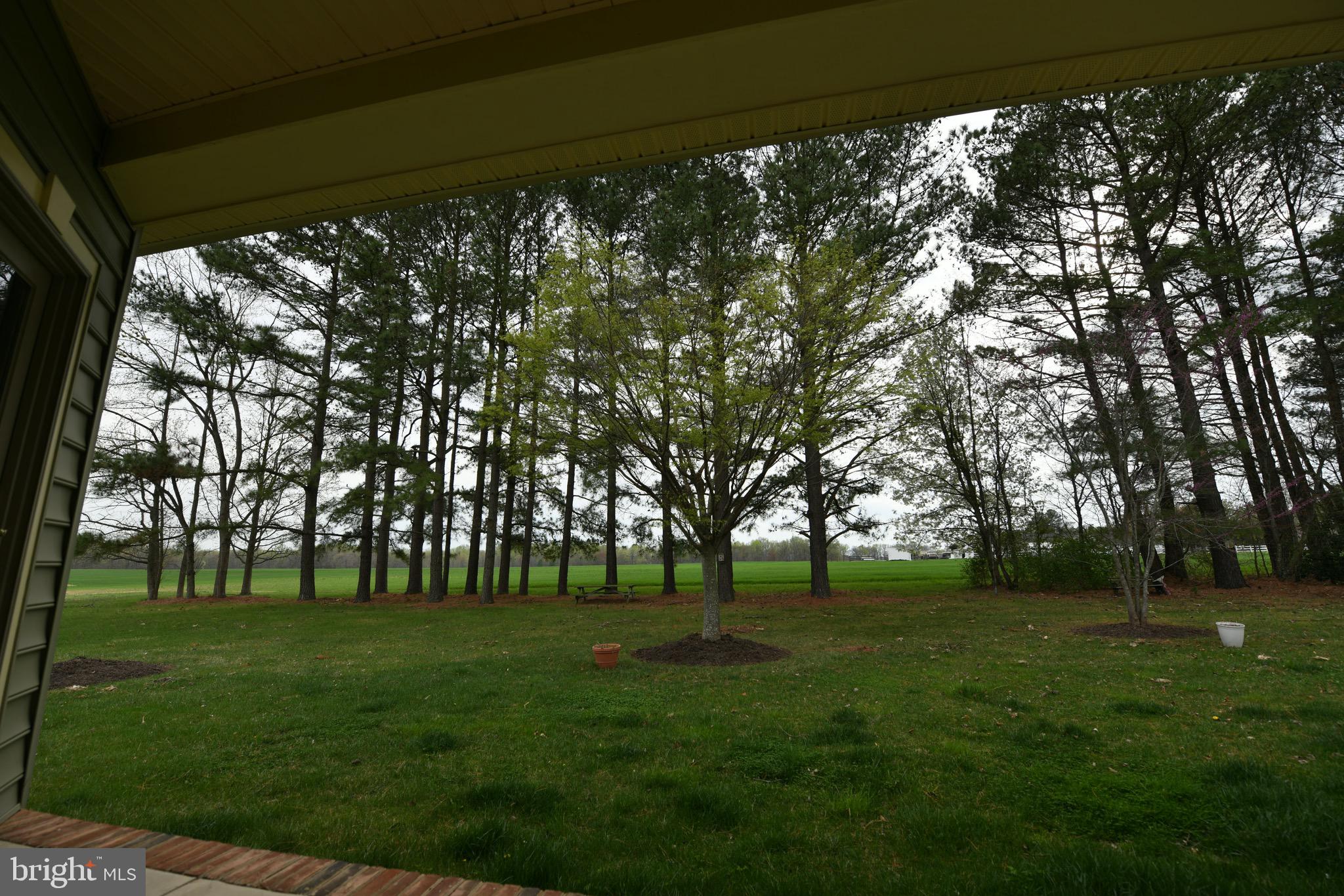 JACKS FIELD - Residential