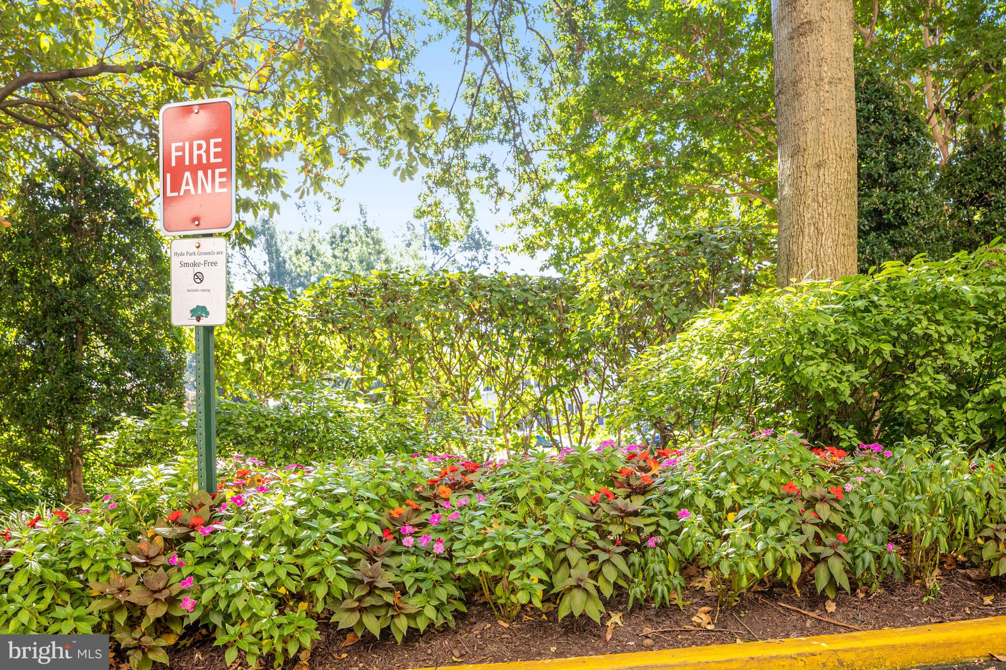 HYDE PARK - Residential